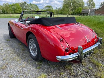 Austin Healey 3000 BJ7 6 CYLINDRES - <small></small> 54.900 € <small>TTC</small>