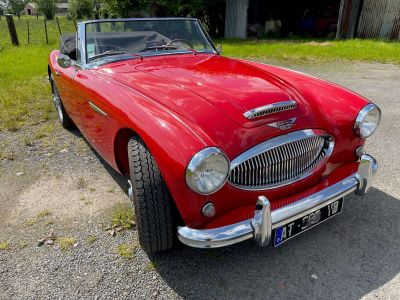 Austin Healey 3000 BJ7 6 CYLINDRES  - 3