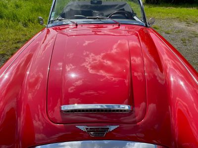 Austin Healey 3000 BJ7 6 CYLINDRES  - 10