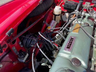 Austin Healey 3000 BJ8 6 cylindres  - 65
