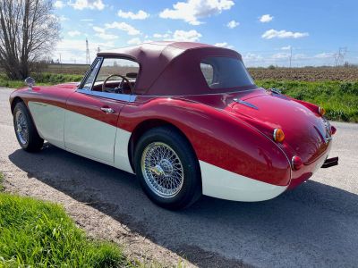 Austin Healey 3000 BJ8 MKII 6 cylindres  - 8