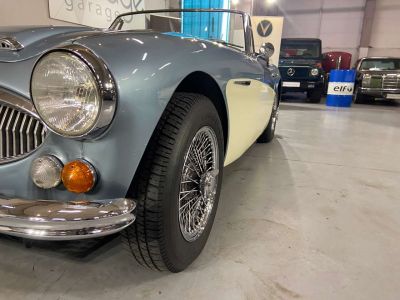 Austin Healey 3000 MK III  - 15