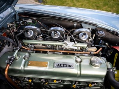 Austin Healey 3000 MKII BN7  - 35