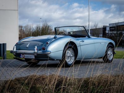 Austin Healey 3000 MKII BN7  - 3