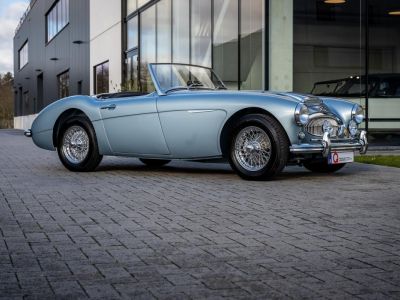 Austin Healey 3000 MKII BN7  - 4