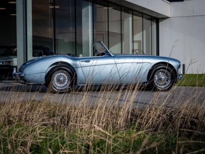 Austin Healey 3000 MKII BN7  - 5