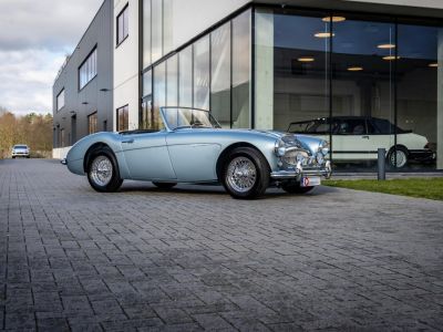 Austin Healey 3000 MKII BN7  - 7