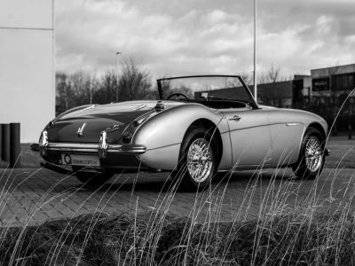 Austin Healey 3000 MKII BN7  - 8