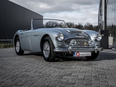 Austin Healey 3000 MKII BN7  - 9