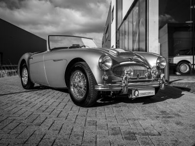 Austin Healey 3000 MKII BN7  - 10