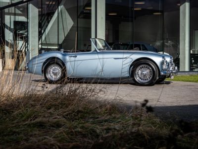 Austin Healey 3000 MKII BN7  - 11