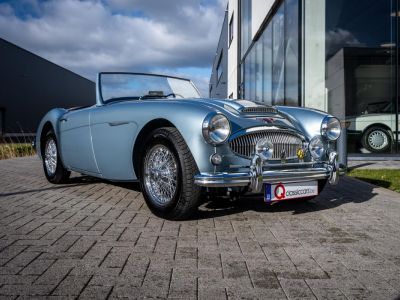 Austin Healey 3000 MKII BN7  - 12