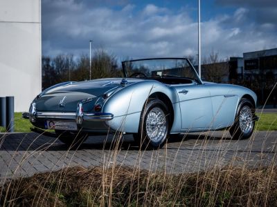 Austin Healey 3000 MKII BN7  - 13