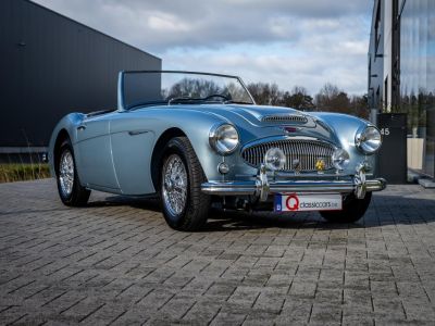 Austin Healey 3000 MKII BN7  - 14