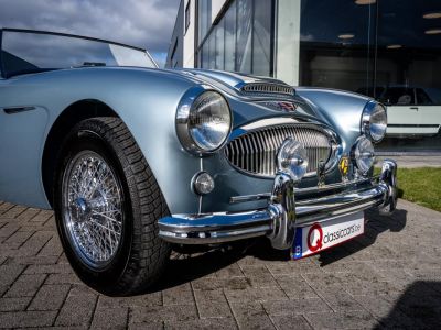 Austin Healey 3000 MKII BN7  - 15