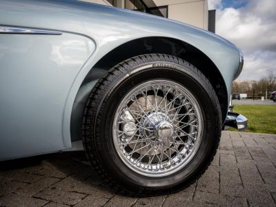 Austin Healey 3000 MKII BN7  - 16