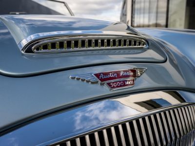 Austin Healey 3000 MKII BN7  - 19