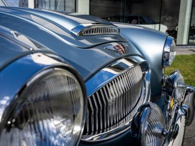 Austin Healey 3000 MKII BN7  - 21