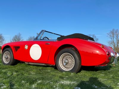 Austin Healey 3000 MKIII - BJ8 - 1967  - 2