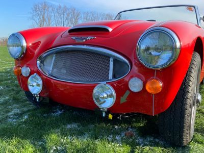 Austin Healey 3000 MKIII - BJ8 - 1967  - 3