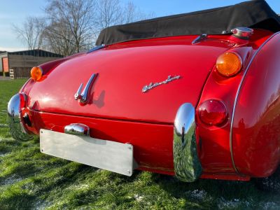 Austin Healey 3000 MKIII - BJ8 - 1967  - 4