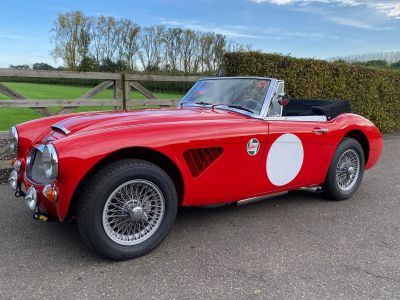 Austin Healey 3000 MKIII - BJ8 - 1967  - 13