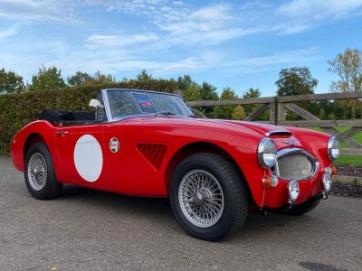 Austin Healey 3000 MKIII - BJ8 - 1967  - 16