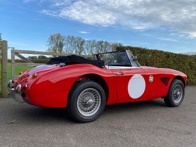 Austin Healey 3000 MKIII - BJ8 - 1967  - 17