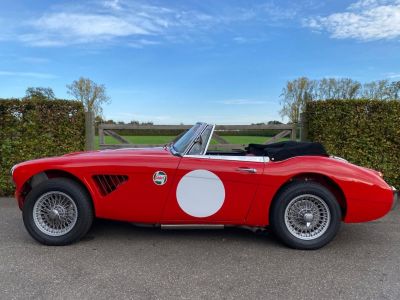 Austin Healey 3000 MKIII - BJ8 - 1967  - 19