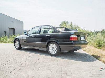 BMW Série 3 316 TC4 Baur  - 16