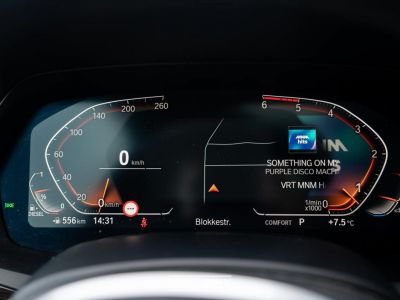 BMW X5 xDrive30 dAs- M-Sport- Lichte Vracht- Utilitaire  - 14