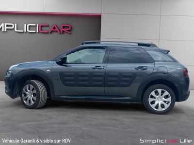 Citroen C4 Cactus BlueHDi 100 Shine  - 4