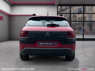 Citroen C4 Cactus Feel  - 6