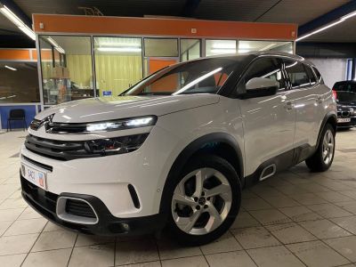 Citroen C5 Aircross BlueHDi 130ch S&S Business + EAT8 E6.d-TEMP  - 1