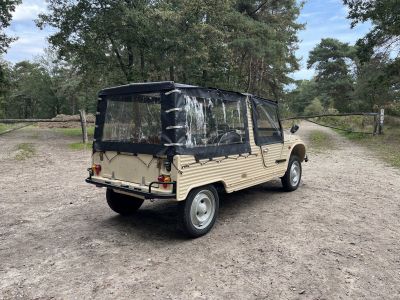 Citroen Mehari 600 cc 2 cilinder 29 BHP  - 10