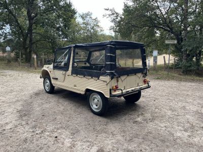 Citroen Mehari 600 cc 2 cilinder 29 BHP  - 12