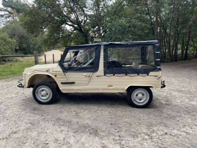 Citroen Mehari 600 cc 2 cilinder 29 BHP  - 13