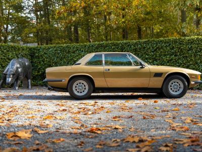 De Tomaso Longchamp  - 24