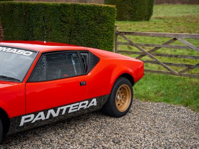 De Tomaso Pantera Factory Groupe 3 - Full History  - 14