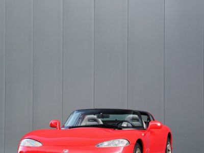 Dodge Viper RT/10 7990 cc V10 met 415 pk  - 21