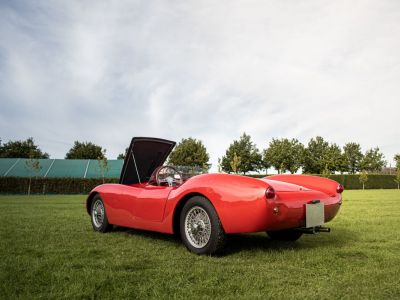 Fiat Barchetta Mandarini  - 7