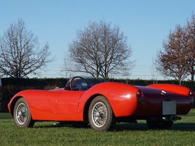 Fiat Barchetta Mandarini  - 18