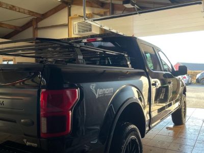 Ford F150 PLATINUM  - 3