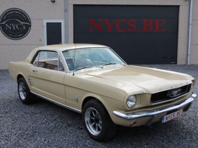 Ford Mustang  - 1