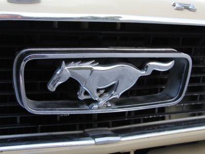 Ford Mustang  - 88