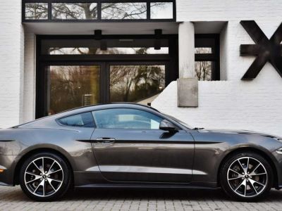 Ford Mustang 2.3 ECOBOOST  - 3