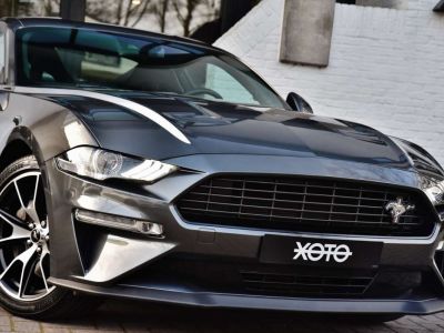Ford Mustang 2.3 ECOBOOST  - 10