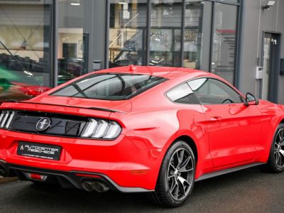 Ford Mustang 2.3 EcoBoost 55-Paket  - 4