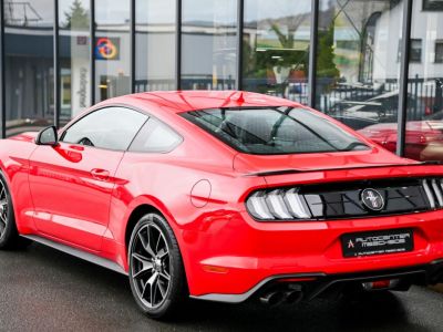 Ford Mustang 2.3 EcoBoost 55-Paket  - 5