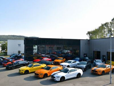 Ford Mustang 2.3 EcoBoost 55-Paket  - 2